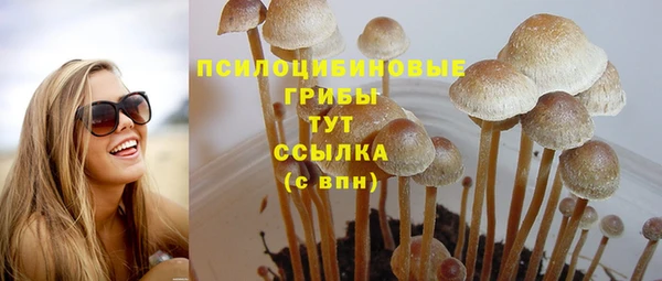 герыч Алексин