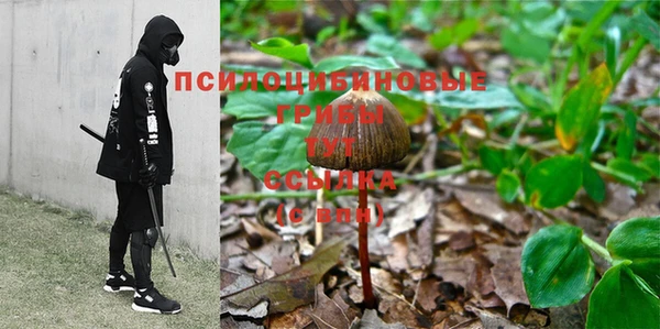 ALPHA PVP Алексеевка