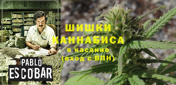 спиды Алзамай