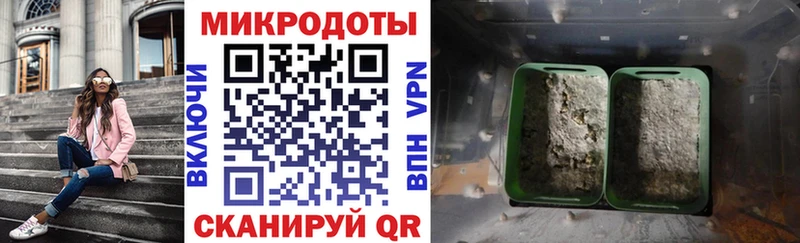 Псилоцибиновые грибы Psilocybe Жиздра